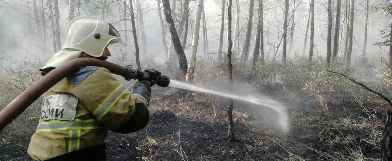 В Саткинском районе произошёл лесной пожар  
