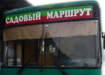 По какому графику в садовые товарищества Саткинского района ходят автобусы 