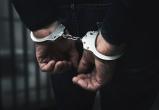 «Торговали смертью»: в Челябинской области полицейские задержали одного главаря и 30 участников наркосообщества 