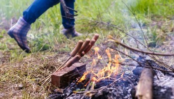 Жители Саткинского района, нарушившие противопожарные правила в лесу, заплатят крупные штрафы  