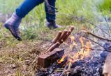 Жители Саткинского района, нарушившие противопожарные правила в лесу, заплатят крупные штрафы  