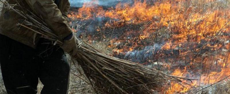 «Жёг траву»: дачник из Саткинского района спровоцировал лесной пожар 