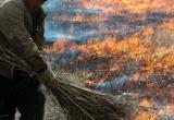 «Жёг траву»: дачник из Саткинского района спровоцировал лесной пожар 