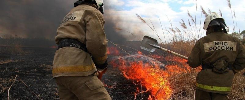 С завтрашнего дня в Челябинской области отменяется особый противопожарный режим