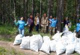 Сотрудники отдела экологии и «Водоканала» очистили от мусора часть берега Малосаткинского водохранилища