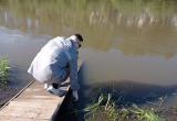 «Купаться нельзя!»: специалисты исследовали воду, взятую из прудов, водохранилища и реки в Саткинском районе 