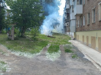 «Тополиный пух, жара… Пожар!»: сегодня в Бакале произошло ЧП 