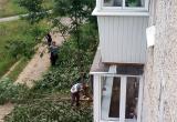 «Кому они помешали?!»: жительница Сатки возмущена тем, что на придомовой территории спилили кустарники 