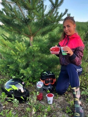 «Ягода – клубника»: жительница Челябинской области собрала 219 литров лесной ягоды