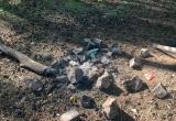 «Шалости, которые тянут на штраф»: по факту детских игр с огнём и деревьями в Сатке проведут проверку  