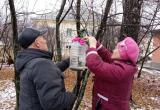 «Столовая» к встрече пернатых готова!»: жители Межевого изготовили кормушки и повесили их на деревья 