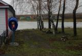 «Ловим связь по всей деревне!»: жители Петромихайловки просят обратить внимание на наболевшую проблему 