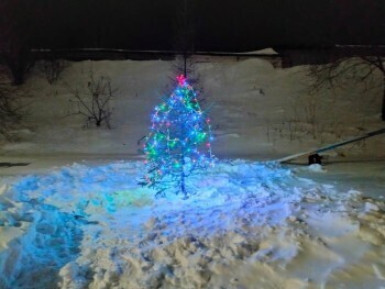 «Сказка своими руками»: бакальцы украсили свои дворы новогодними деревьями и яркими гирляндами 
