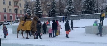«Издевательство возле ёлки»: жителей Саткинского района возмутило катание на осле и верблюде 