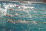 «Поплыли!»: скоро в Сатке будет проходить межрегиональный турнир «Я стану чемпионом»