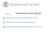 В России приостановили приём заявлений на выпуск загранпаспортов нового образца