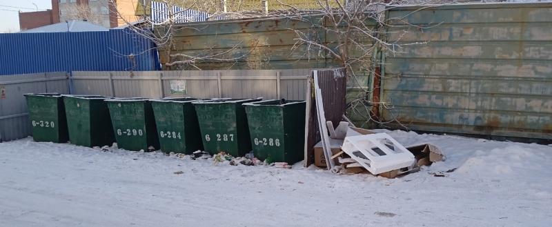 «И тому есть причины...»: жители старой части Сатки просят перенести мусорные баки подальше от жилого дома 