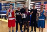 «Золото», серебро» и «бронза»: боксёры Саткинского района успешно выступили на областном первенстве 
