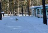 В Саткинском районе началось бронирование смен в загородных лагерях 
