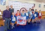 Самбисты Саткинского района завоевали 6 медалей на областном турнире 