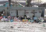 «Многострадальная площадка»: жители старой части Сатки пожаловались на горы мусора вокруг пустых баков 