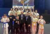Саткинские спортсмены завоевали медали на первенстве УрФО по киокусинкай в Ноябрьске