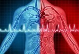 Синдром «праздничного сердца»: полезная информация и рекомендации специалистов 