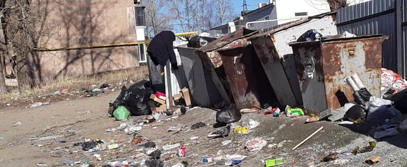 «Утомлённые грязью»: бакальцы просят очистить от мусора территорию около контейнеров 