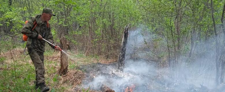 «Отвечаем на ваши вопросы»: в национальном парке «Зюраткуль» произошёл пожар? 