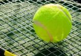 Компания уроженца Саткинского района может построить в Челябинске центр тенниса за 1 млрд рублей 