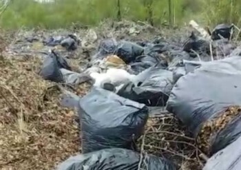 В Бакале образовалась огромная свалка мусора: рассказываем, где она, и когда её ликвидируют  