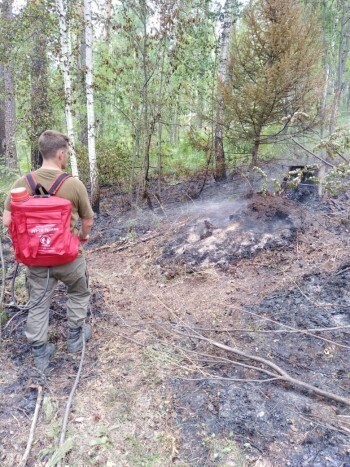 «В 400 метрах от «Таганая»: из-за пожара в лесном массиве Златоусте едва не начал гореть национальный парк 
