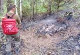 «В 400 метрах от «Таганая»: из-за пожара в лесном массиве Златоуста едва не начал гореть национальный парк 