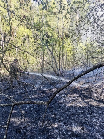 Из-за лесных пожаров в Челябинской области возбуждено 11 уголовных дел: как устанавливают виновников? 
