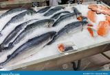 «Рыба Камчатки»: лосось в магазинах подешевеет, пообещали в Рыбном союзе