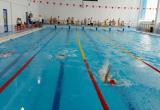 28 октября в МАУДО "СШ "Магнезит" состоялся 2-й этап Межрегионального турнира по плаванию "Я стану Чемпионом" 