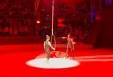 Уроженка Сатки Евгения Завадская выступает в цирке Венгрии