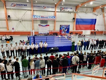 Саткинские кикбоксеры вошли в сборную Челябинской области