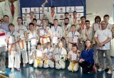 Саткинские каратисты привезли с областных соревнований 20 медалей