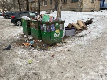 «Страшно подойти...»: саткинцы ужаснулись площадкой для сбора мусора в одном из дворов города 