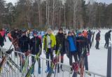 Покорил марафонскую дистанцию: саткинский спортсмен завоевал победу на лыжных гонках