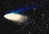 Жители Сатки смогут увидеть гигантскую комету