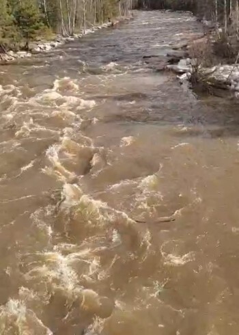 Бурлит,  «кипит» и радует туристов: река Березняк в своем полноводье