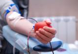 Это может спасти чью-то жизнь! Жителей Саткинского района призывают сдать кровь 
