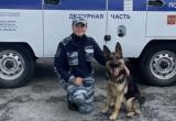 Азарт, Молния и Мура на страже порядка в Саткинском районе! 