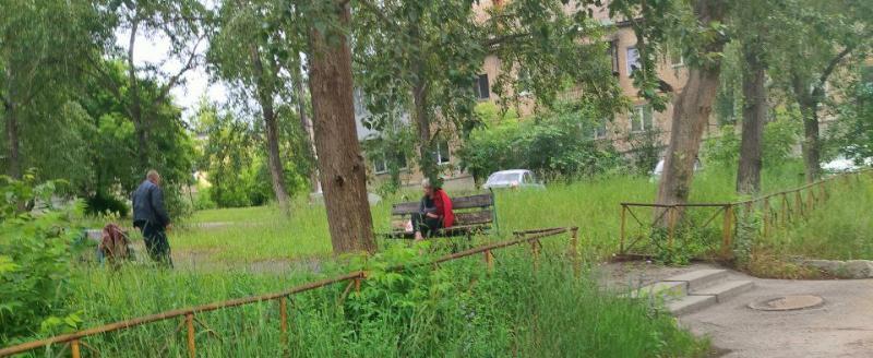 «Справляют нужду под окнами!»: во дворе жилого дома в Сатке поселились бомжи, доставляющие дискомфорт местным жителям 