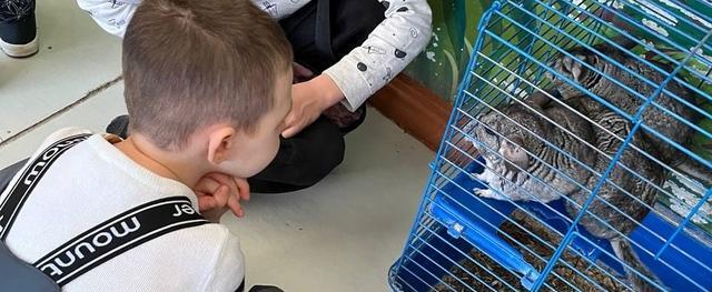 Дети из средней группы детского сада №33 принесли корм в ПРК Аквариум Центра «Радуга»