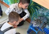 Дети из средней группы детского сада №33 принесли корм в ПРК Аквариум Центра «Радуга»
