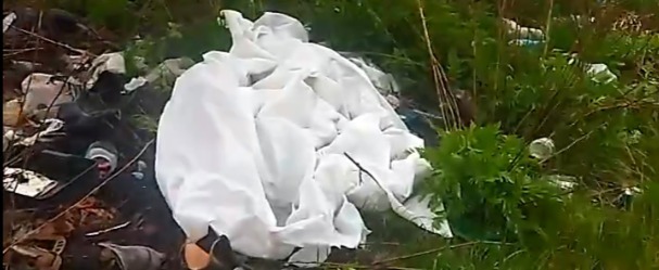 Жительница Сатки запечатлела на видео ужасающую картину