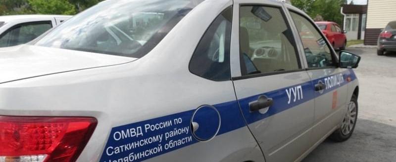 Полицейские установили в Саткинском округе браконьера, незаконно вырубившего участок леса
